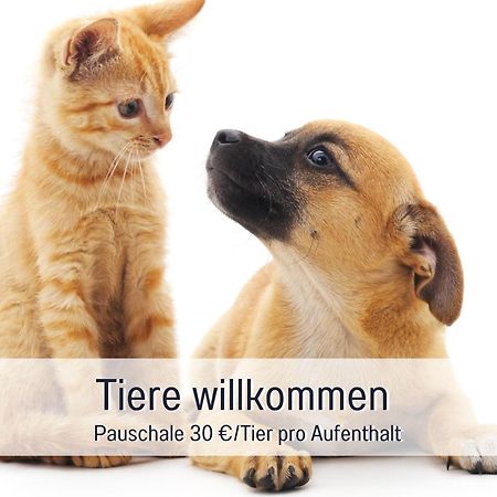 Penthouse - 3 Schlafzimmer- Sonnige Dachterrasse -Whirlpool & Alpenblick - Perfekt Fuer Romantik Oder Familienurlaub Mit Kind, Hund Willkommen - By Ferienwohnenamsee - 위버링겐 외부 사진