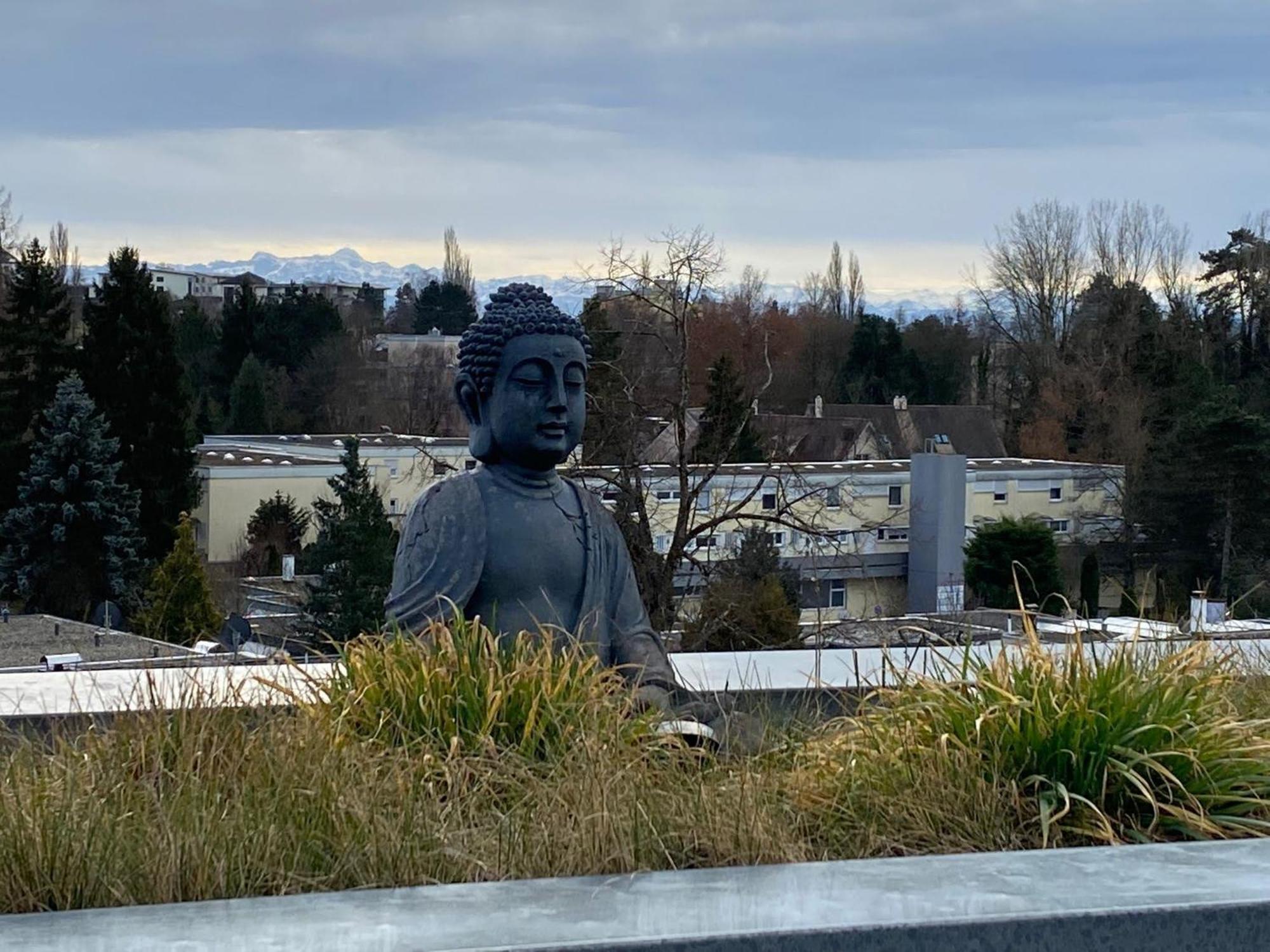 Penthouse - 3 Schlafzimmer- Sonnige Dachterrasse -Whirlpool & Alpenblick - Perfekt Fuer Romantik Oder Familienurlaub Mit Kind, Hund Willkommen - By Ferienwohnenamsee - 위버링겐 외부 사진