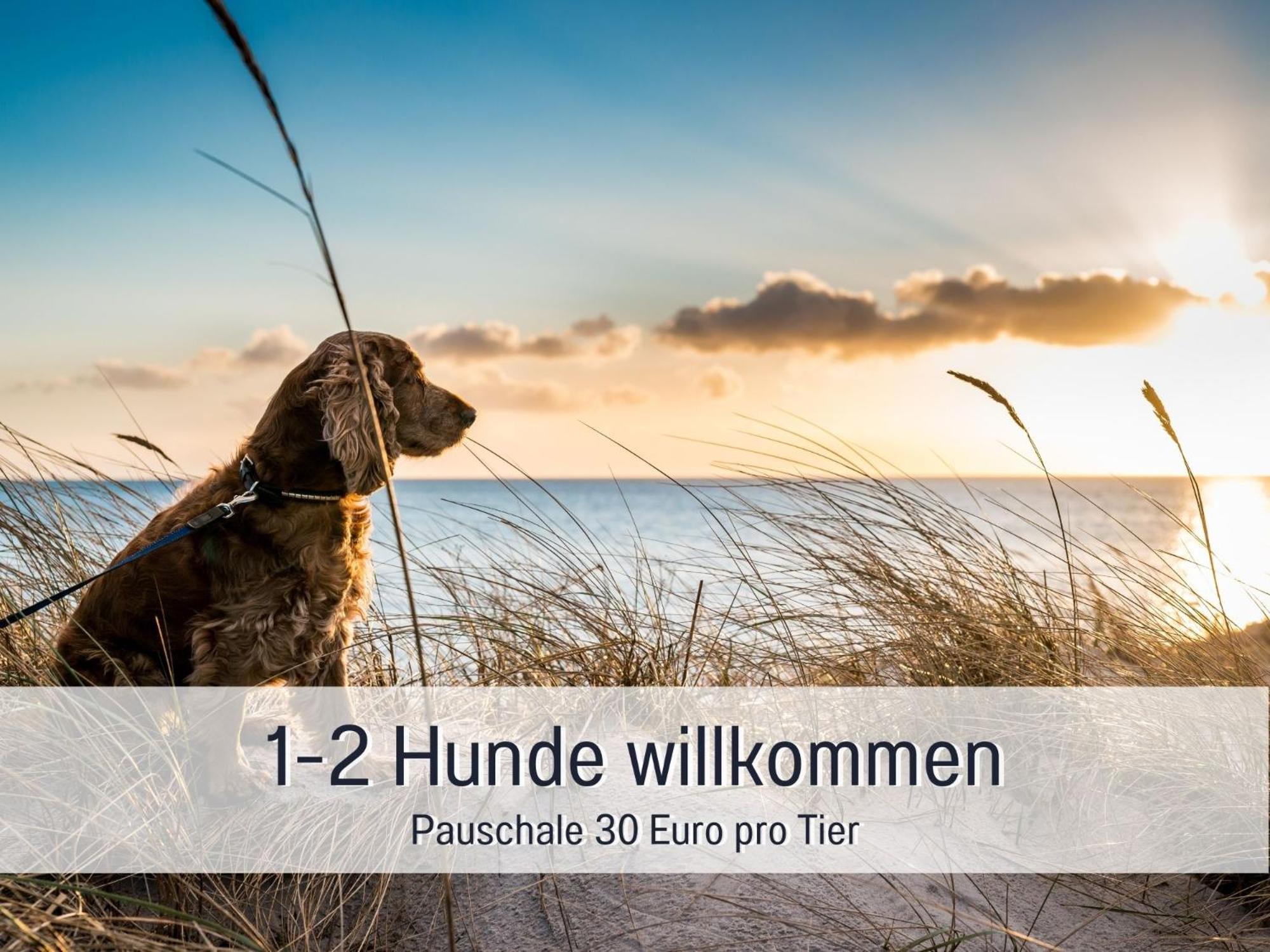 Penthouse - 3 Schlafzimmer- Sonnige Dachterrasse -Whirlpool & Alpenblick - Perfekt Fuer Romantik Oder Familienurlaub Mit Kind, Hund Willkommen - By Ferienwohnenamsee - 위버링겐 외부 사진